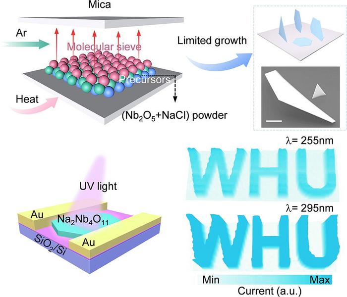 Graphical abstract: Ultrathin niobate growth, UV detection and imaging