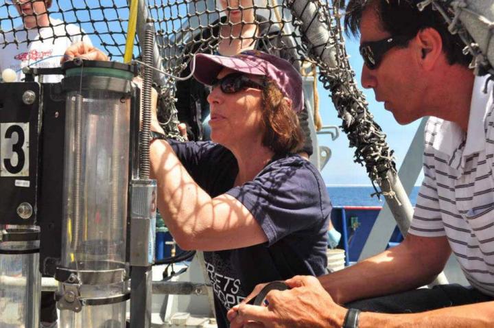 Sediment Coring