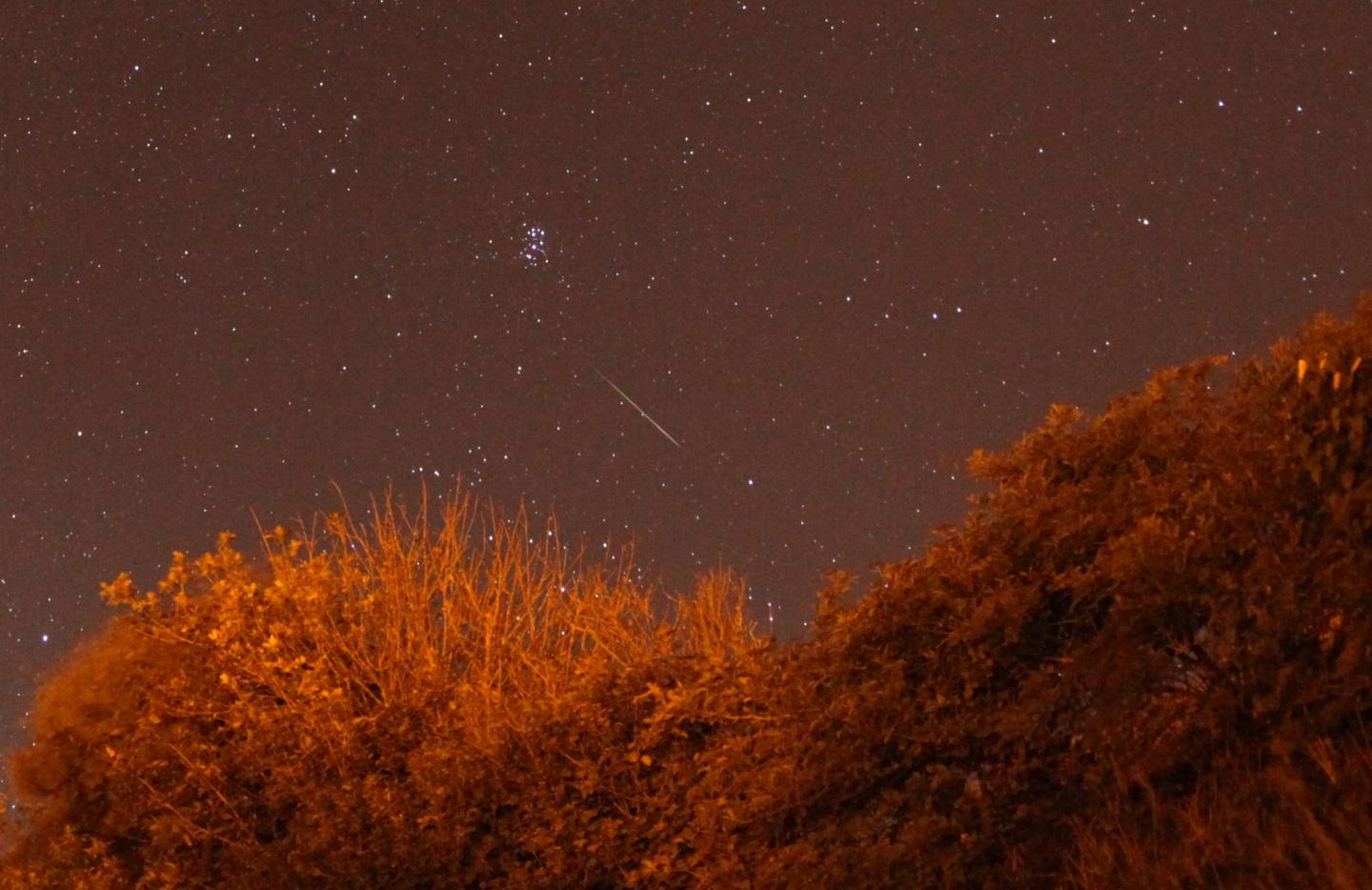 Image of Perseid Seen from Sussex, United Kingdom