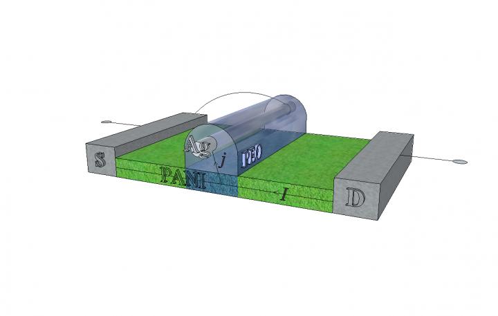 Diagram of a Memristor