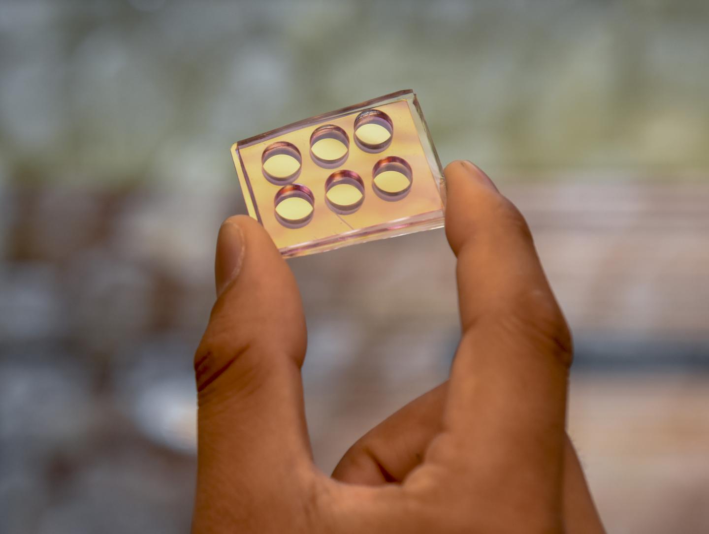 Nanomushroom Chip