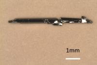Tungsten Ditelluride (WTe2) Crystals
