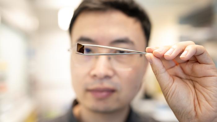 Saien Xie with semiconductor
