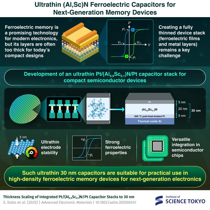 Ultrathin (Al,Sc)N Ferroelectric Capacitors for Next-Generation Memory Devices