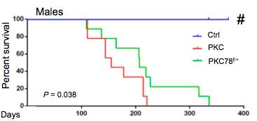 GRP78 Suppression and Overall Survival