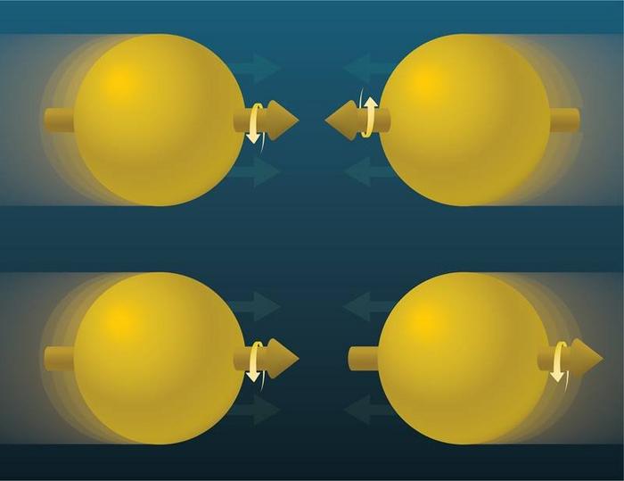 Gluon Spins Align with the Proton They’re In