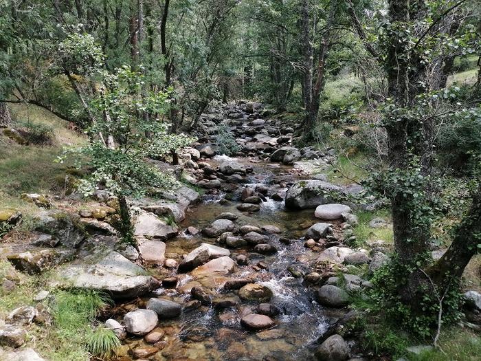 La crisis climática pone en riesgo la biodiversidad microbiana de los ríos