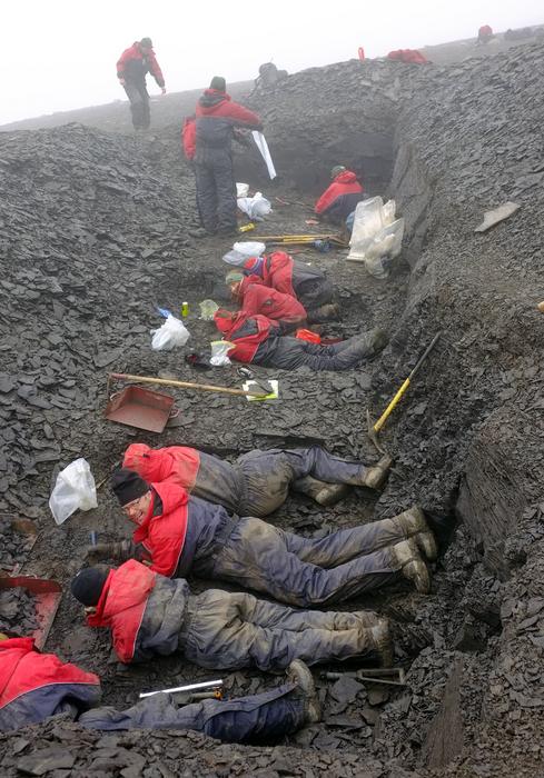 Fossil bonebed excavation on Svalbard