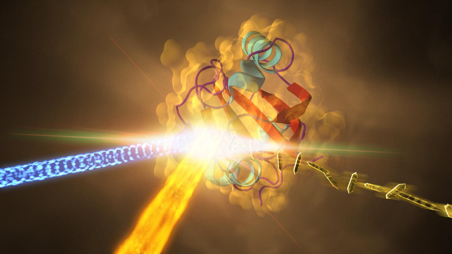 How a Protein from Photosynthetic Bacteria Changes Shape