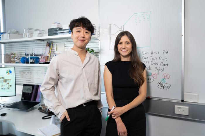 Lead researchers