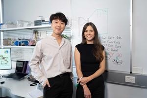 Lead researchers