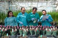 Better Plant Edits by Enhancing DNA Repair (3 of 3)