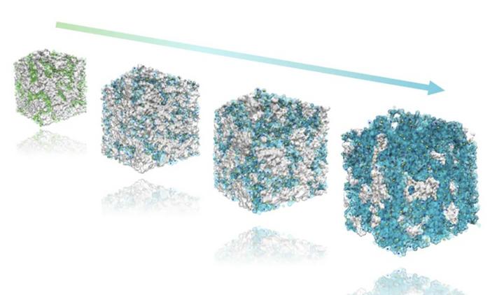 Ion Exchange Membranes