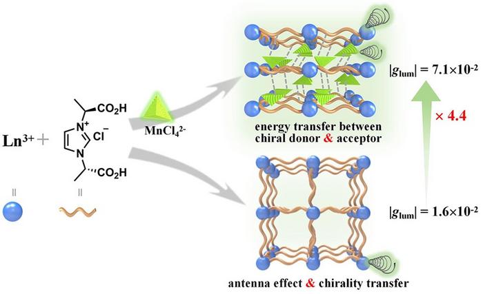 Circularly polarized luminescence enhancement in rare-earth MOFs due to framework chirality and host–guest energy transfer