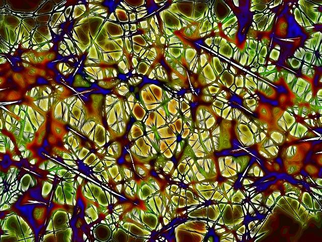 Dartmouth Nerve Repair Study