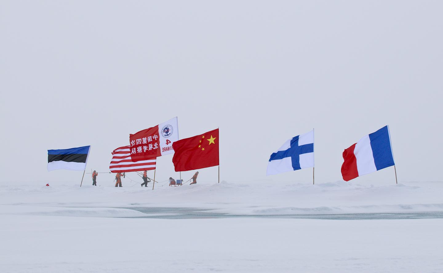 Arctic expedition