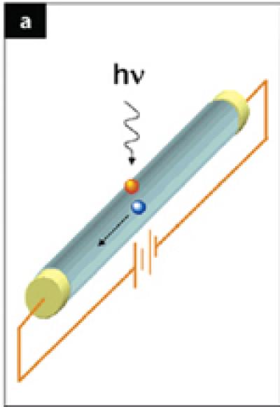 Single Nanowire Photodetector
