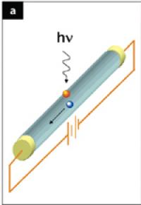 Single Nanowire Photodetector
