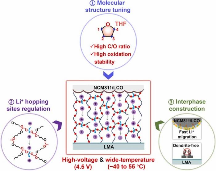 Trilogy design of cross-linked polyether electrolytes for high-voltage and wide-temperature lithium metal batteries.