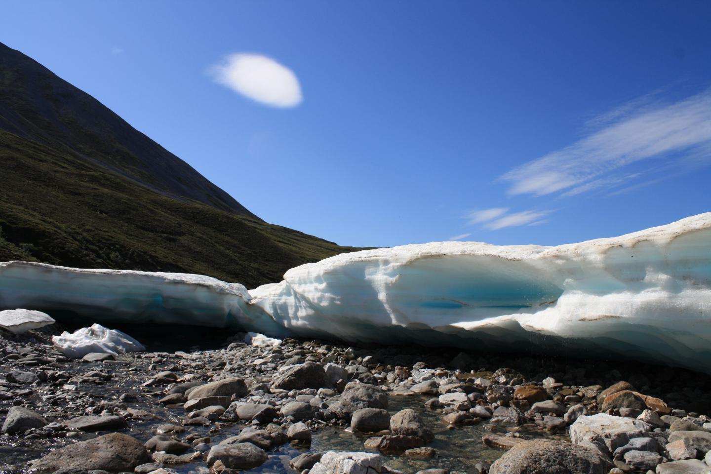 Global Warming Accelerating World's Extinctions (3 of 6)