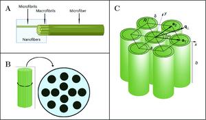 Structural evolution of microfibers in seawater and freshwater under simulated sunlight: A small- and wide-angle X-ray scattering study