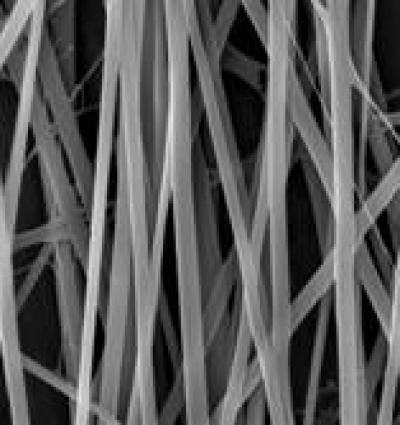 Fibers