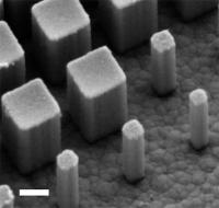 SE of Metalens