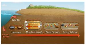 Different scales of electron transfer processes in the subsurface