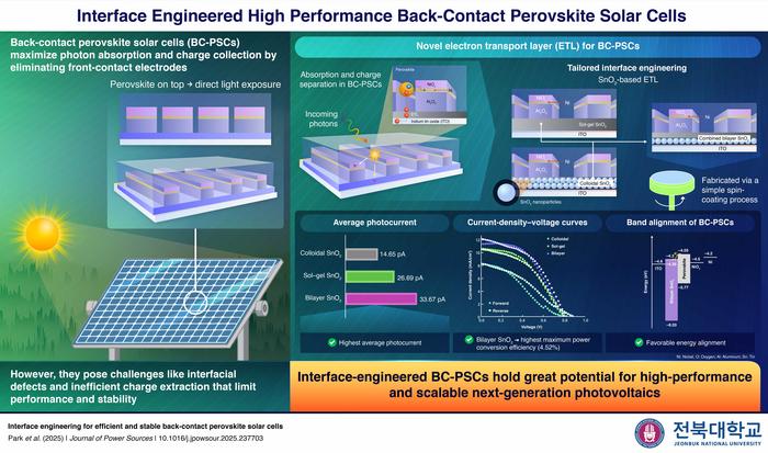 Interface engineering strategy for back-contact perovskite solar cells