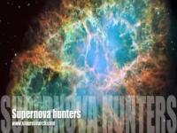 White Dwarf Supernovae Discovered in Virgo Cluster, Sky Area 'Anonymous'
