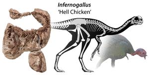 Hell chicken