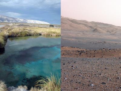 Curiosity on Mars Sits on Rocks Similar to Those Found in Marshes in Mexico