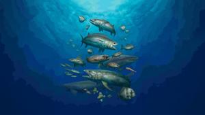 The Dawn of Modern Ocean Fishes video