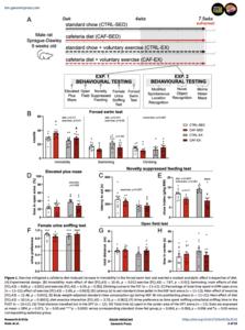 Exercise mitigated a cafeteria diet–induced increase in immobility in the forced swim test and exerted a modest anxiolytic effect irrespective of diet.