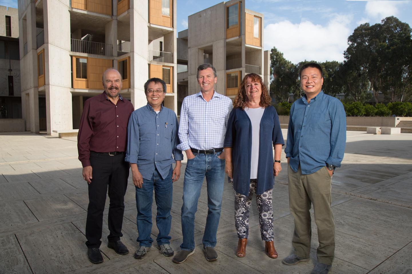 Salk Institute -- Brain Cell Atlas