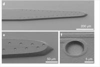 Multi-area brain monitoring probe