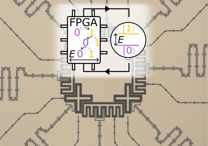 Chip Image
