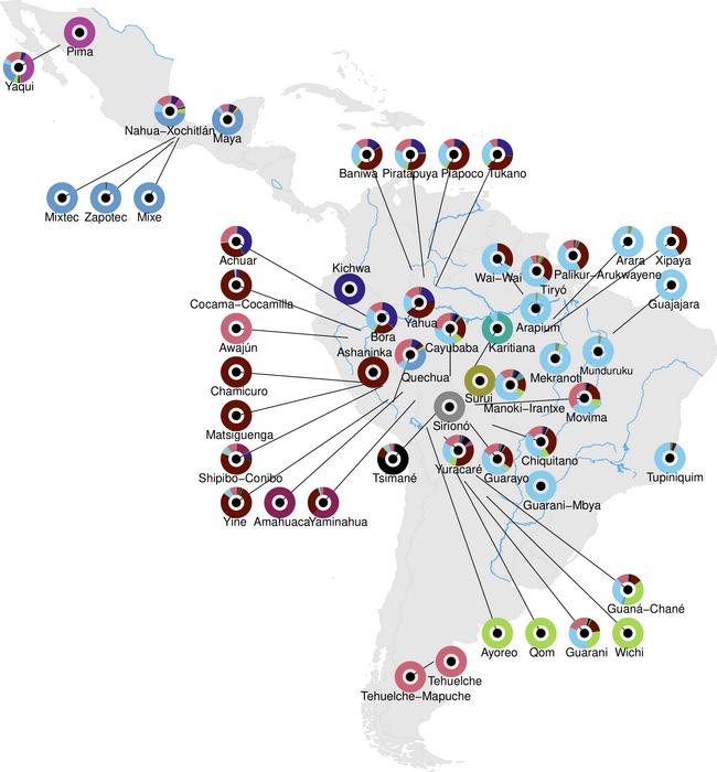 Proportions of genetic ancestry inferred from the DNA analyzed in the study (unsupervised ADMIXTURE). The average ancestry of each population is represented on a map of the Americas.