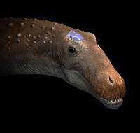 Dinosaur