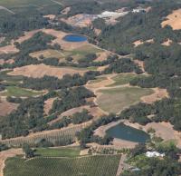 Vineyard Aerial