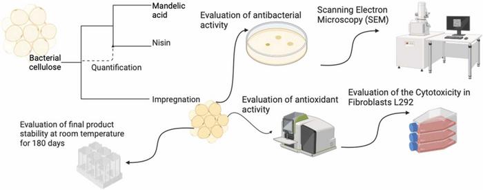 Graphical Abstract