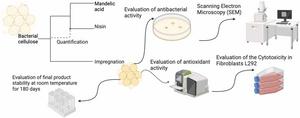 Graphical Abstract