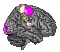 Supramarginal Gyrus Empathy