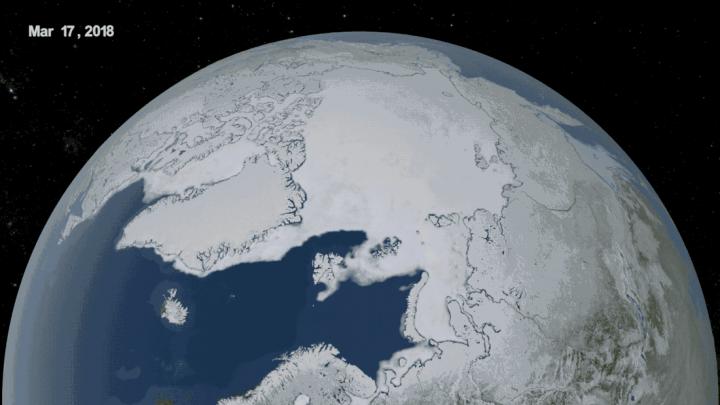 Arctic Sea Ice Summer 2018