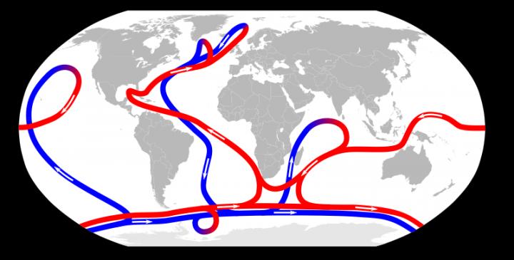 Ocean Conveyor