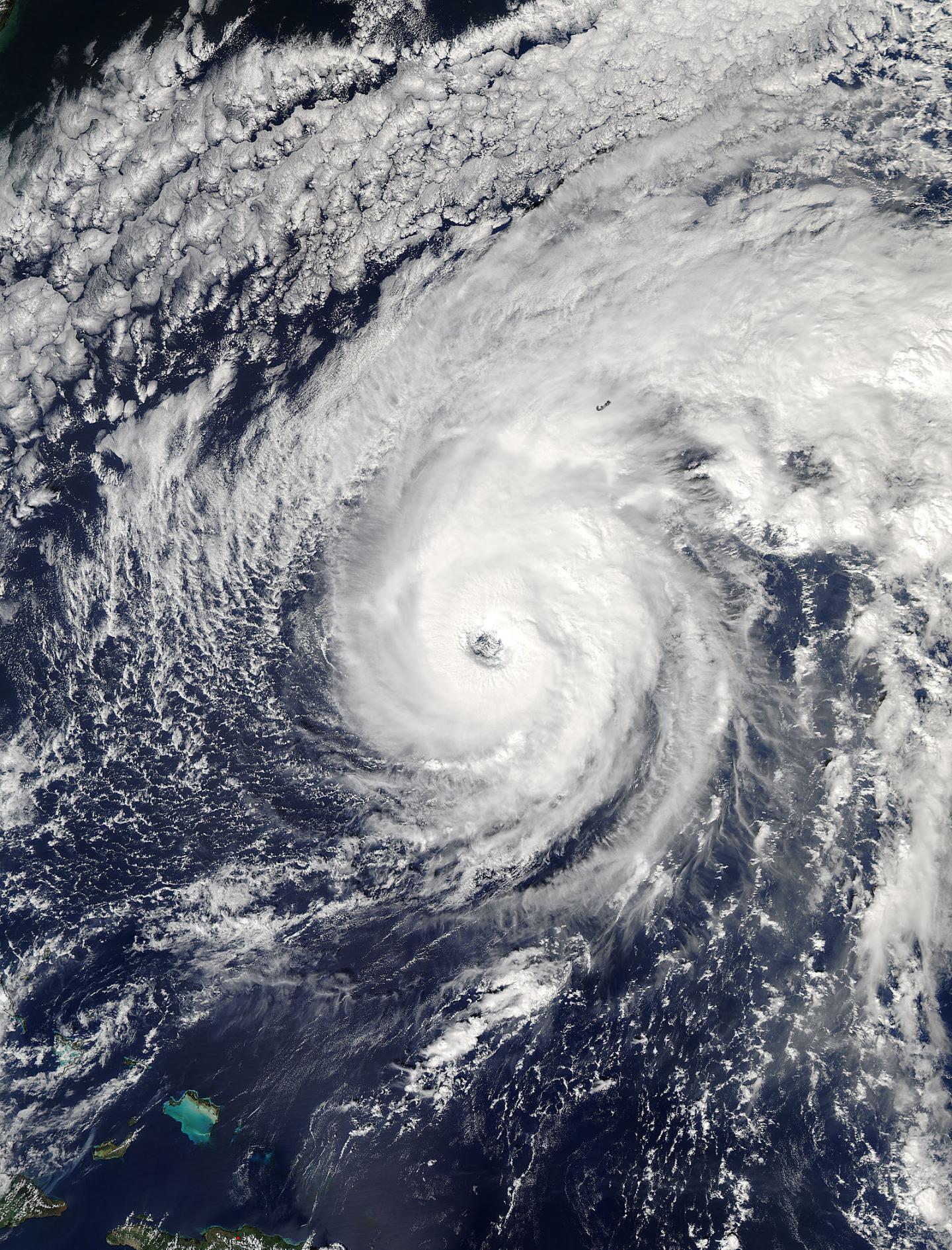 Aqua Image of Nicole