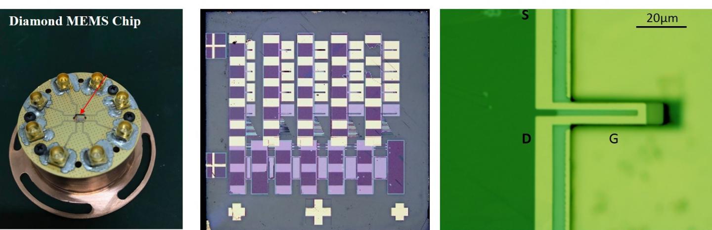 Diamond MEMS Chip