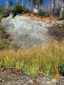 Serpentine rocks rich in chromium-3