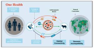 Evolutionary origins, ecological drivers, and environmental implications of antibiotic resistance genes proliferation and dissemination: a 'One Health' perspective