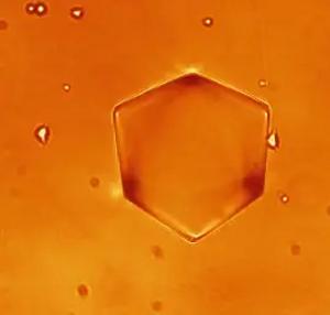 Liquid Origami: Scientists Create Microscopic Six-Pointed Stars from Tiny Droplets